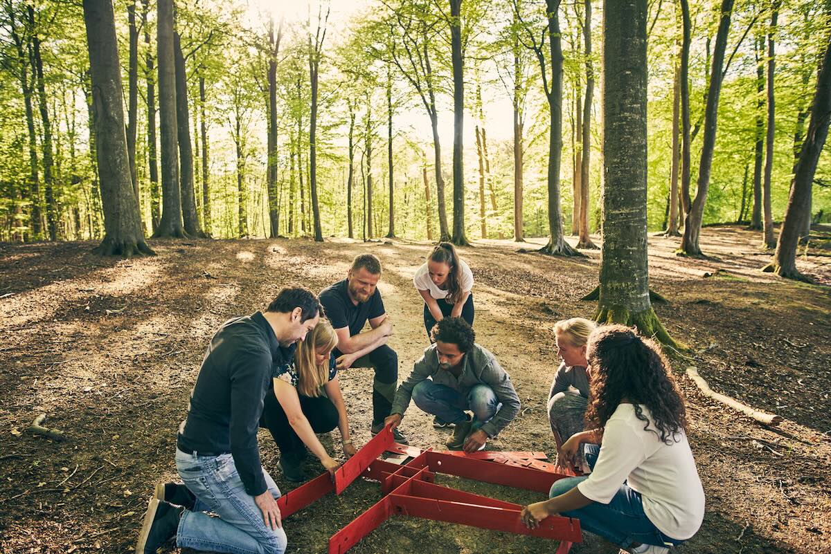 A group of workmates doing a challenge in a forest